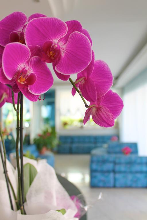 Hotel San Paolo Rimini Kültér fotó